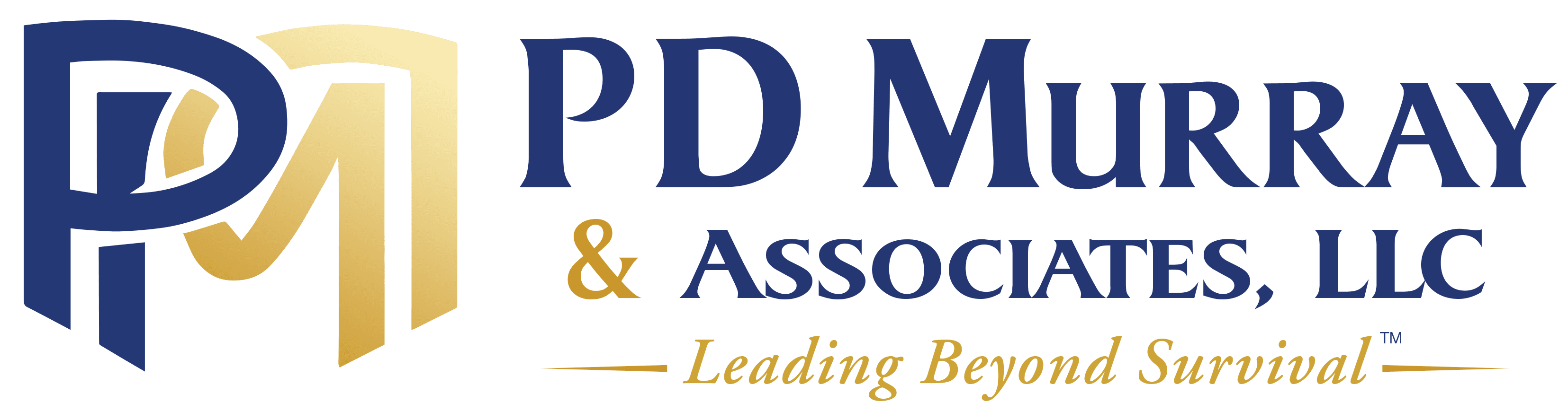 69eac0c0b6488_PDM_Logo_no_BG (002) (1)